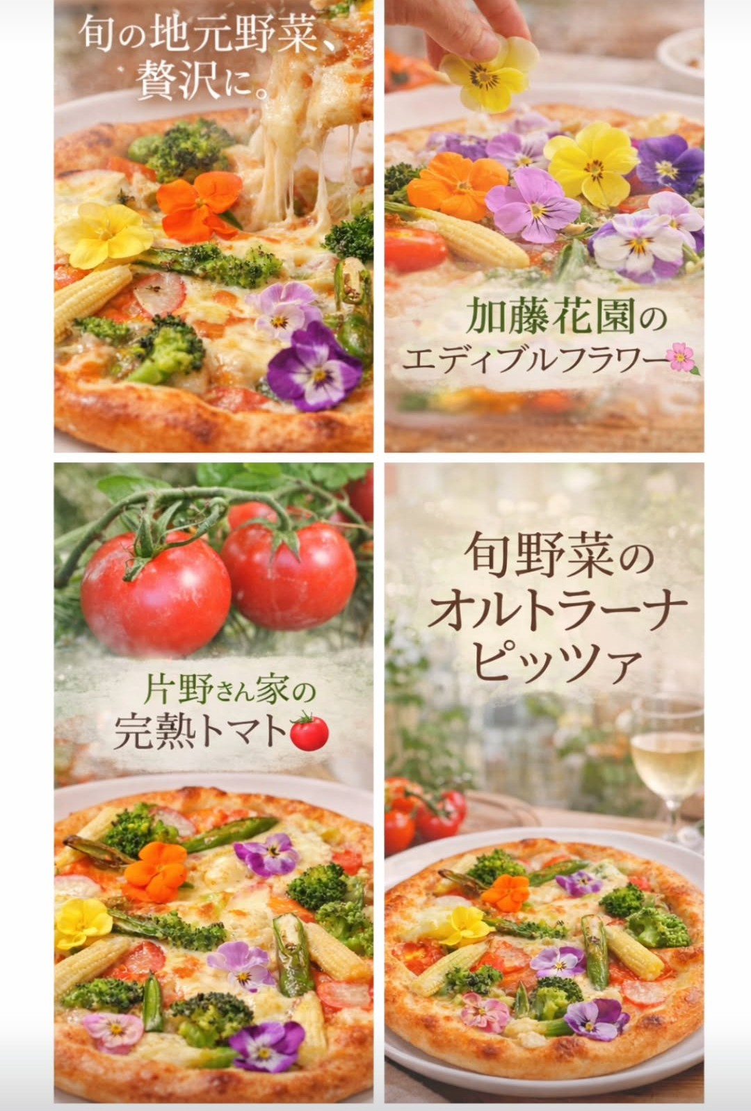 「地元の恵み、ひと皿に。」 伊勢原野菜 × 食べられるお花 旬節でしか味わえない彩りで